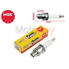Bougie NGK B7HS