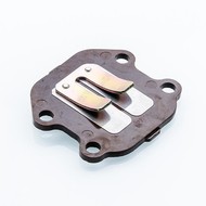 Reed Valve Block voor PW50