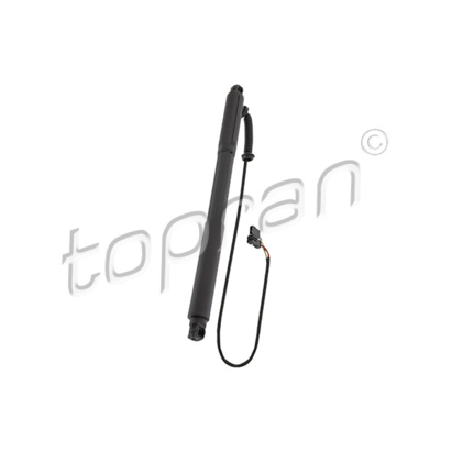 Aandrijfeenheid, achterklep (Elektromotor) linkerzijde voor BMW - OEM 51247332695