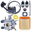 Carburateur set passend op FS120 FS200 FS250 FS300 FS350 Stihl FR450 FR480