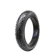 20 Inch Fat Bike Wegband 20x4 Inch