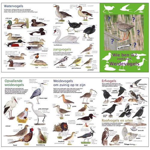 Tringa paintings Wie ben ik? Compacte zoekkaart Weidevogels