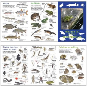 Tringa paintings Tringa zoekkaart Waterdiertjes Tringa paintings Tringa zoekkaart Waterdiertjes
