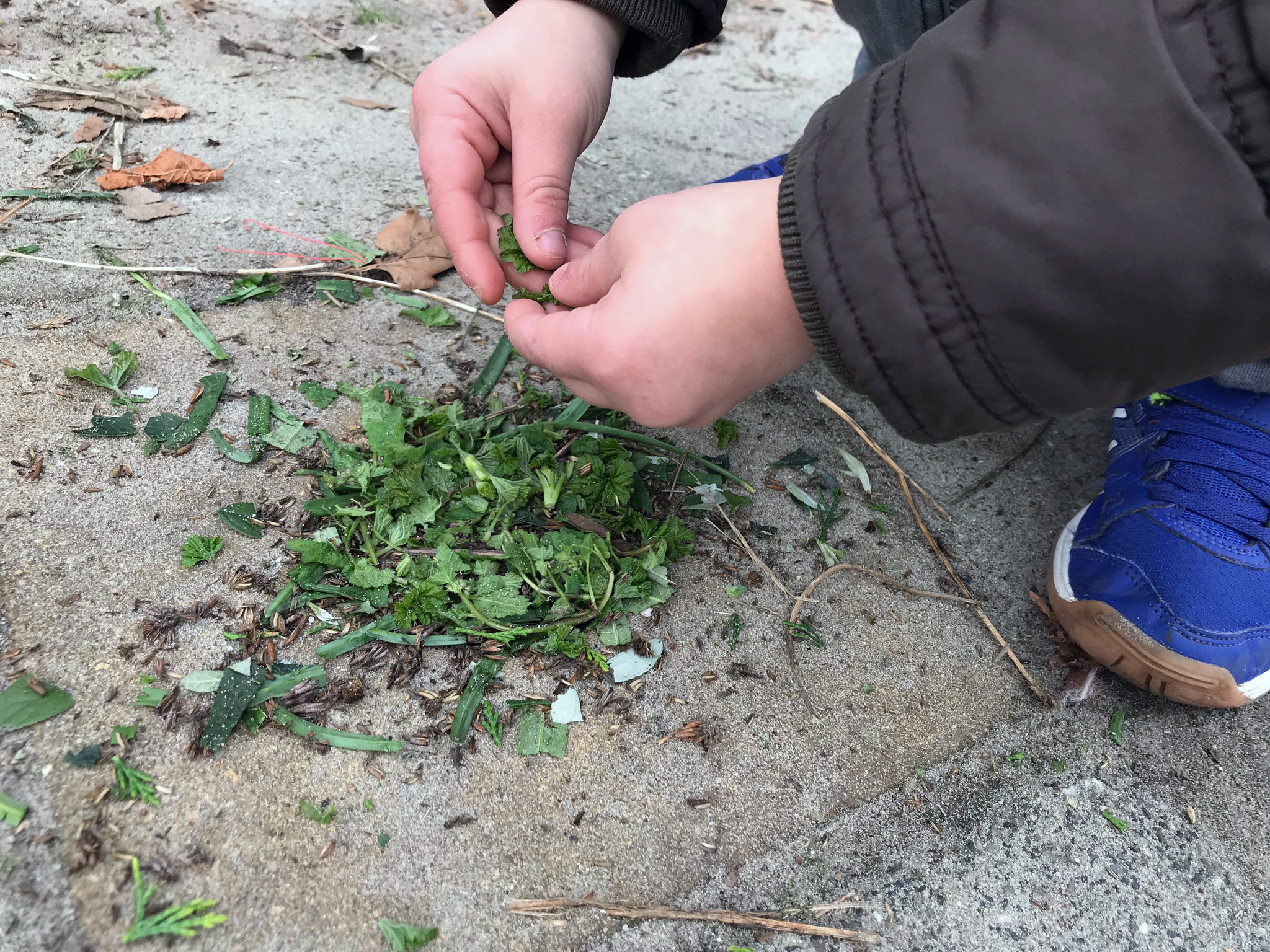 Spelen met wat er al is - Speuren in de natuur