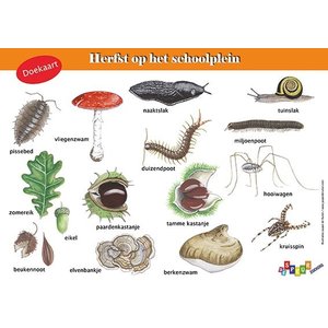 Tringa paintings Tringa Paintings Doekaart Herfst Tringa paintings Tringa Paintings Doekaart Herfst