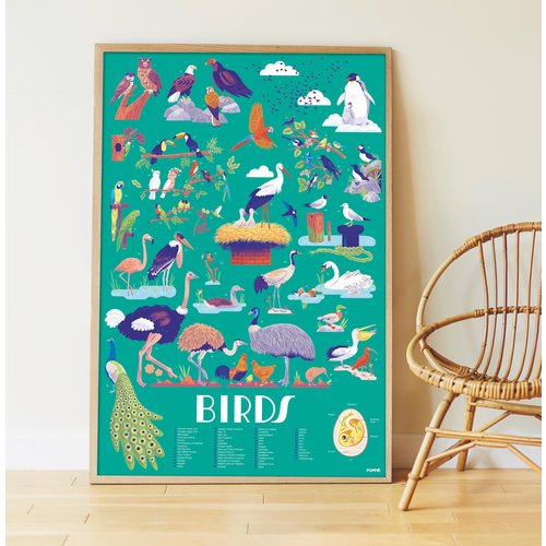 Poppik Poppik discovery poster vogels