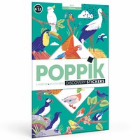 Discovery stickerposter vogels