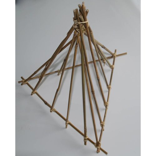 Bambox Bouwen met bamboe - 250 stuks bamboestokken 120cm