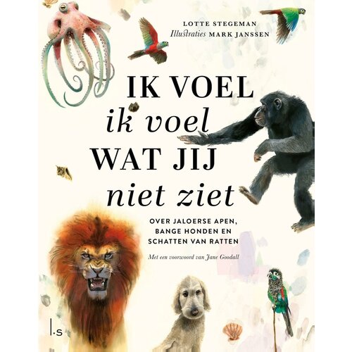 Ik voel ik voel wat jij niet ziet, vanaf 8 jaar