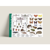 Tringa paintings Herkenningskaarten Dieren in de tuin