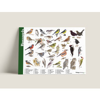 Tringa paintings Herkenningskaarten Bosvogels