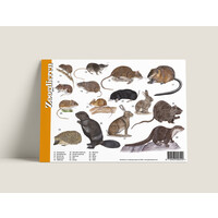 Tringa paintings Herkenningskaarten Zoogdieren