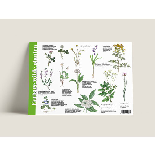 Tringa paintings Herkenningskaart Eetbare wilde planten