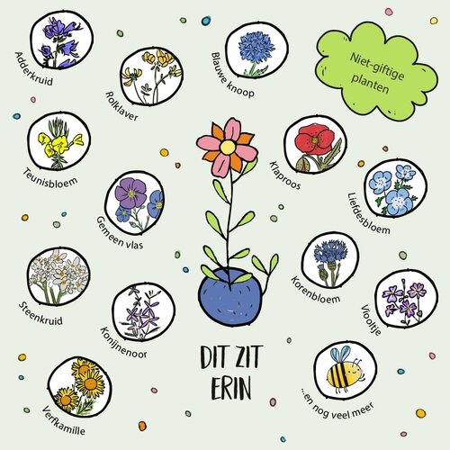 Stadtgärtner Stadtgärtner Bloemenknikkers uitdeelzakje met 5 zaadbommetjes Stadtgärtner Stadtgärtner Bloemenknikkers uitdeelzakje met 5 zaadbommetjes