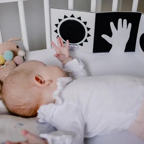 Jolly designs - Quiet Books Jolly Designs contrastboekje zwart-wit Jolly designs - Quiet Books Jolly Designs contrastboekje zwart-wit