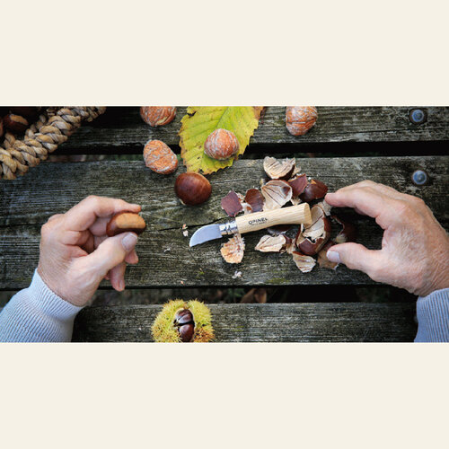 Opinel kinderzakmessen Opinel Kastanjemes voor de tamme kastanje - No7 Chestnut
