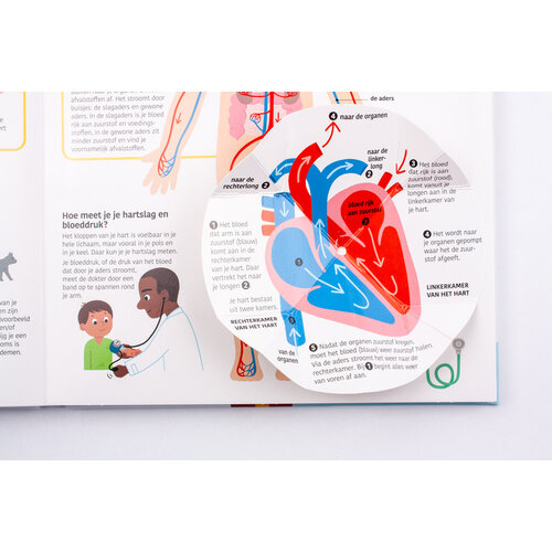 Het grote boek over het menselijk lichaam, vanaf 4 jaar