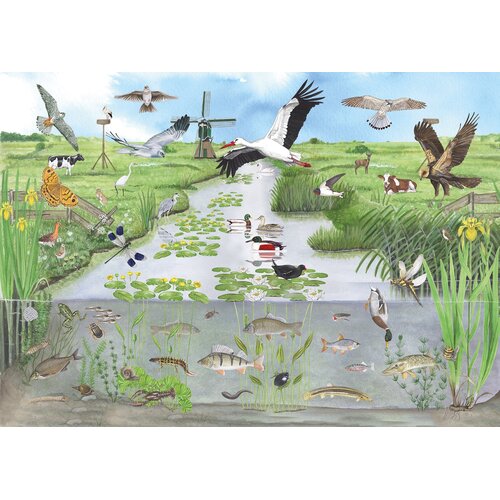 Tringa paintings natuurkaarten Tringa Paintings Puzzel Veenweide 1000 stukjes