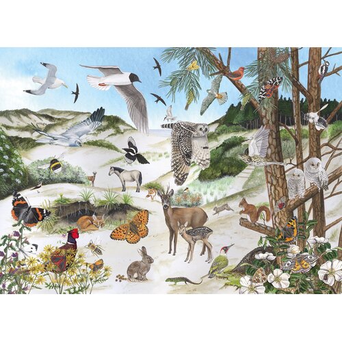 Tringa paintings natuurkaarten Tringa Paintings Puzzel Duin 1000 stukjes