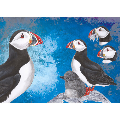 Tringa paintings natuurkaarten Tringa Paintings Puzzel Papegaaiduikers -1000 stukjes