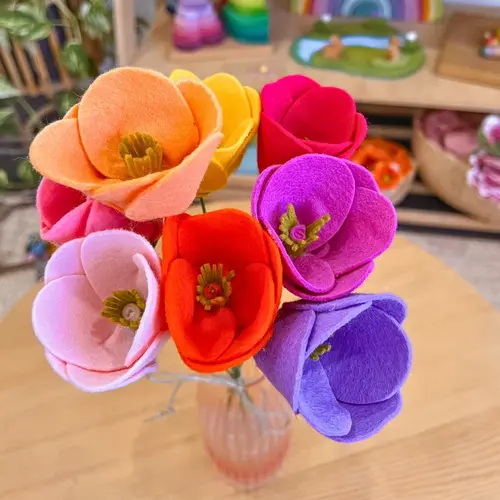 Filges Bioland wolvilt handwerkset pastel of bont 20x15 cm