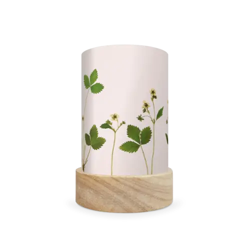 Toverlux Toverlux Beth Kendall - Droogbloemen uit de tuin, 2026 collectie