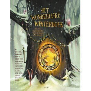 Het wonderlijke winterboek