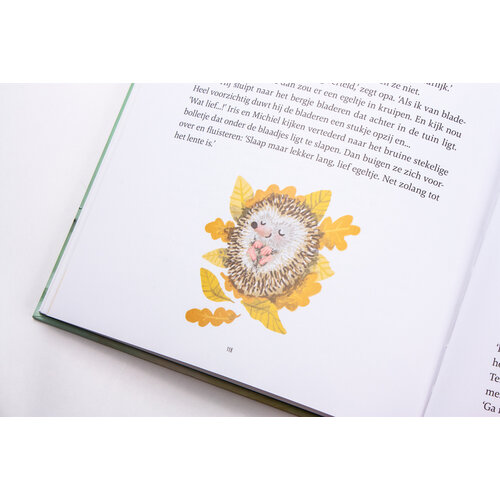 Het wonderlijke winterboek, vanaf 4 jaar Het wonderlijke winterboek, vanaf 4 jaar