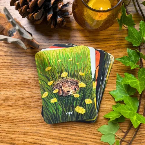 Esther Bennink Esther Bennink - set inspiratiekaarten 'Berichten uit het bos'