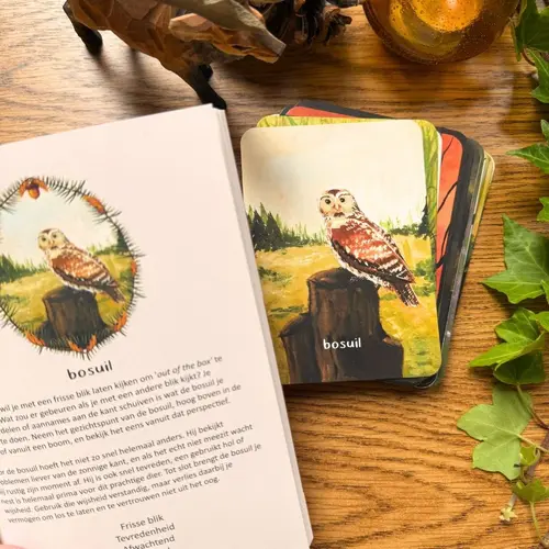 Esther Bennink Esther Bennink - set inspiratiekaarten 'Berichten uit het bos'