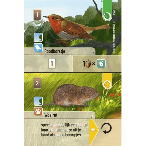Forest Shuffle Uitbreiding Exploration, vanaf 10 jaar