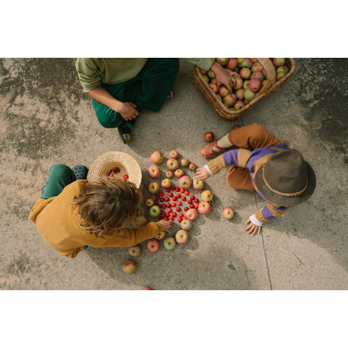 Grapat Grapat mandala halve bollen - 36 houten onderdelen