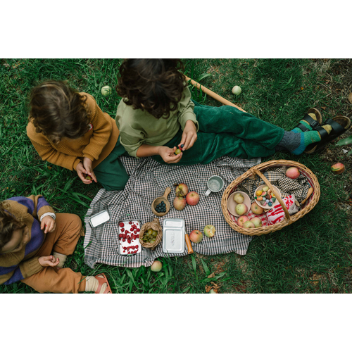 Grapat Grapat houten fruit  - 12 houten onderdelen