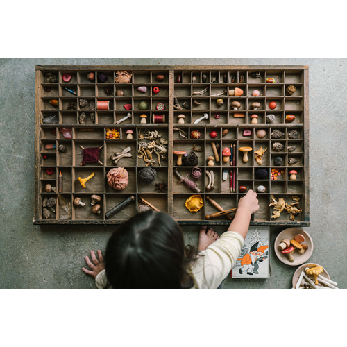 Grapat Grapat paddenstoelen wereld - 18 houten paddenstoel vormen