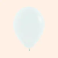 Zakje met 12 ballonnen voor ballonbal