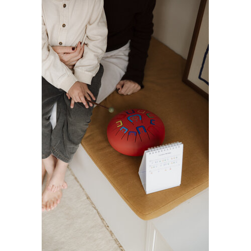 Tambú Tambú 8 - Rode tongdrum - handpan 11 noten met toebehoren