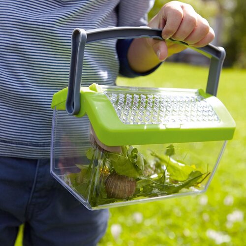 Haba Haba Terra Kids terrariumbak - insectendoos