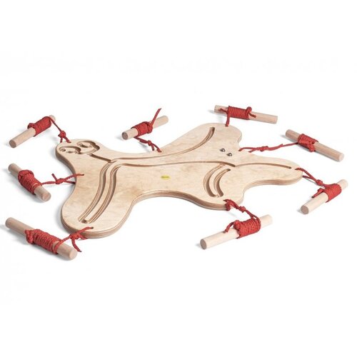 Erzi Erzi Team Spirit -  balansspel en ballenparcours