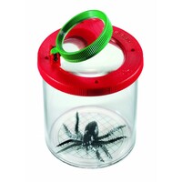 Navir Loeppotje met spin