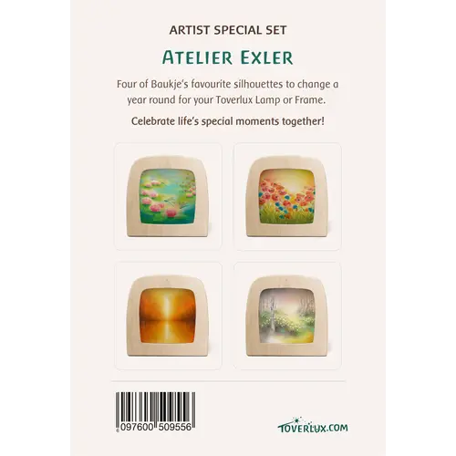 Toverlux Toverlux Artist Special set Baukje exler