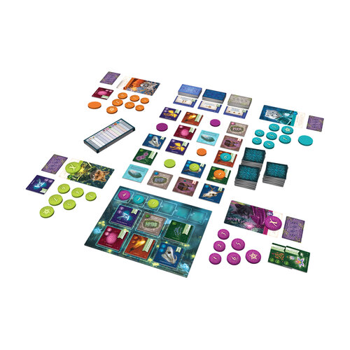 White Goblin Games spellen Nocturne | Strategisch bordspel vol magie en slimme keuzes