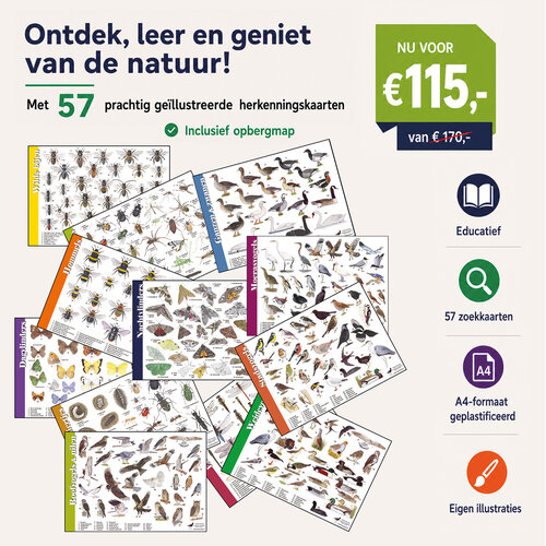 Tringa paintings Tringa 57 herkenningskaarten in opbergmap Tringa paintings Tringa 57 herkenningskaarten in opbergmap