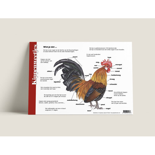 Tringa paintings Herkenningskaart Kippen met natuurillustraties van Jasper de Ruiter