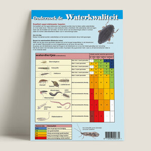 Tringa paintings Tringa edukaart Het leven onder water Tringa paintings Tringa edukaart Het leven onder water