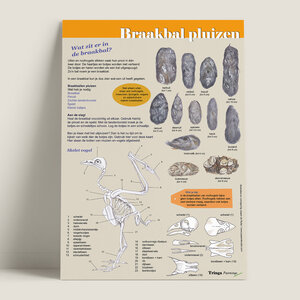 Tringa paintings Tringa edukaart Het Leven in een Braakbal Tringa paintings Tringa edukaart Het Leven in een Braakbal