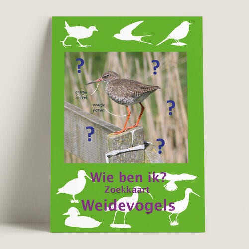 Tringa paintings Tringa zoekkaart Weidevogels Tringa paintings Tringa zoekkaart Weidevogels