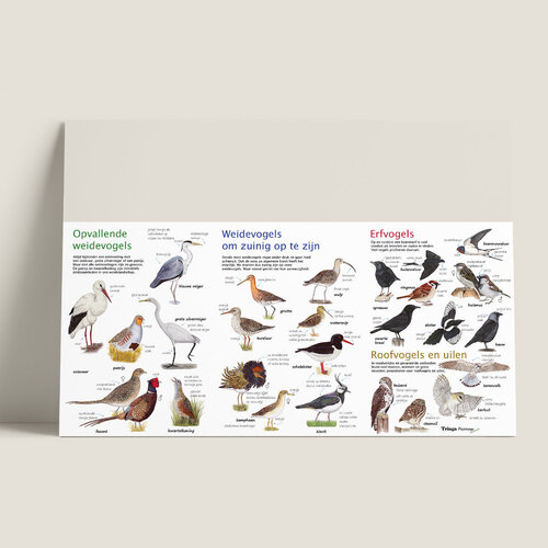 Tringa paintings Zoekkaart Weidevogels van Tringa Paintings voor buiten ontdekken Tringa paintings Zoekkaart Weidevogels van Tringa Paintings voor buiten ontdekken