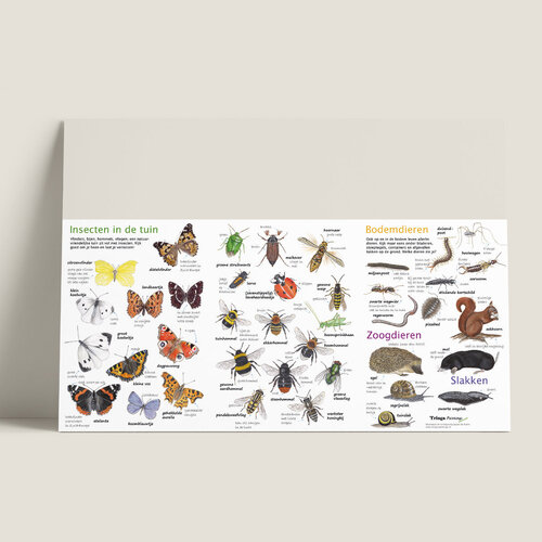 Tringa paintings Zoekkaart Dieren in de tuin van Tringa