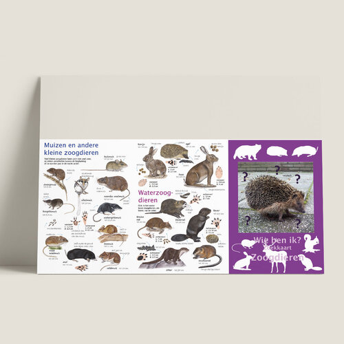 Tringa paintings Zoekkaart Zoogdieren van Tringa Paintings voor buiten ontdekken Tringa paintings Zoekkaart Zoogdieren van Tringa Paintings voor buiten ontdekken