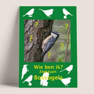 Tringa paintings Tringa zoekkaart Bosvogels Tringa paintings Tringa zoekkaart Bosvogels